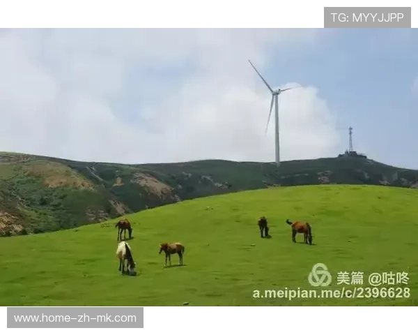 深圳新鹏城左路脚步轻盈，突破极具观赏性