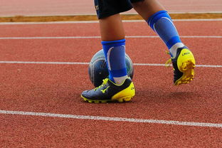 mk体育官网入口-意甲年轻球员防守意识发展趋势研究，意甲年轻后卫